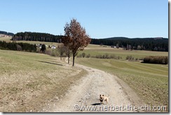 Pilzsteinrunde - Wandern in Bad Leonfelden