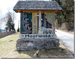 Der Erlebnisweg Moorwald in Bad Leonfelden
