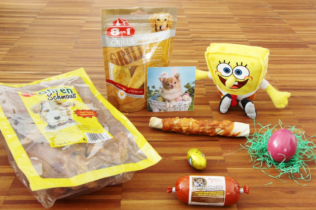 Ostern Hund was schenken? Herbert the Chi